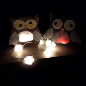20201109_175831.jpg