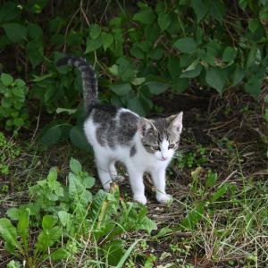 DSC_3032.JPG